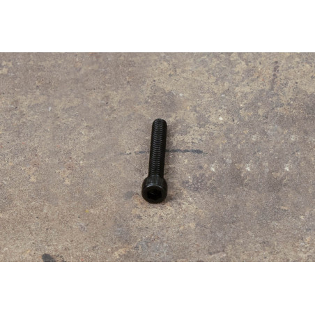 Basic Rear Peep Screw (Qty. 1) | TWS